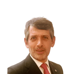 Dinis Carneiro de Brito