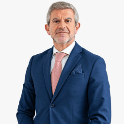 Luís Filipe Guerreiro