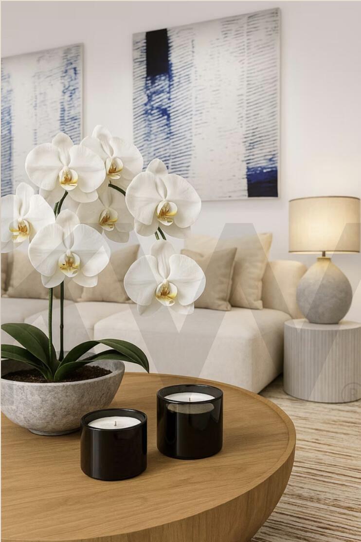 Enterprise Enterprise