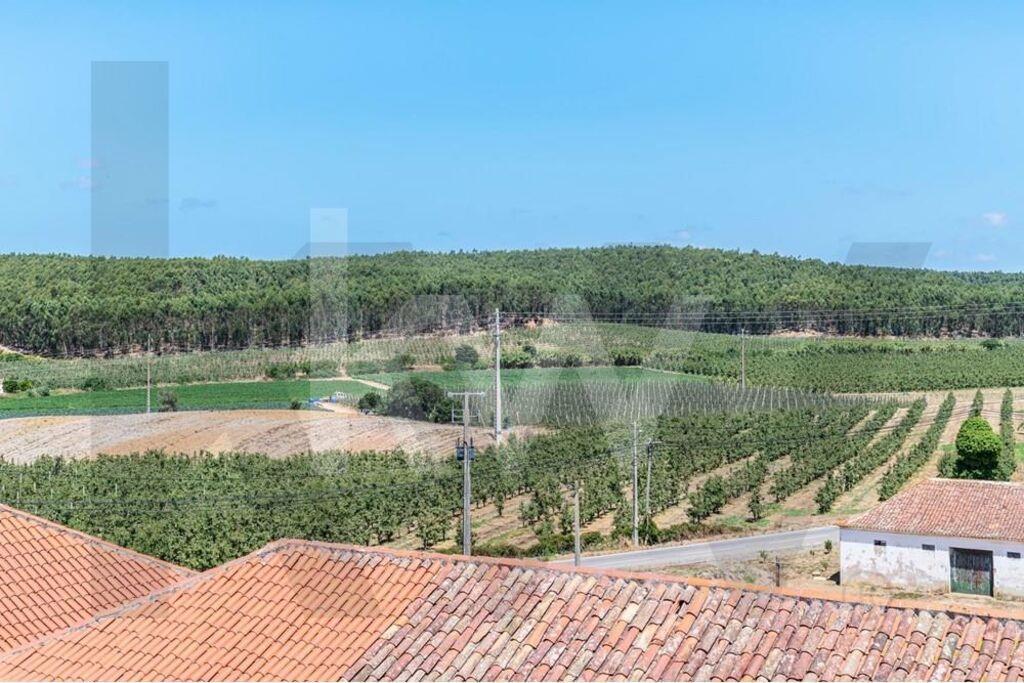 Torres Vedras, Maxial e Monte Redondo