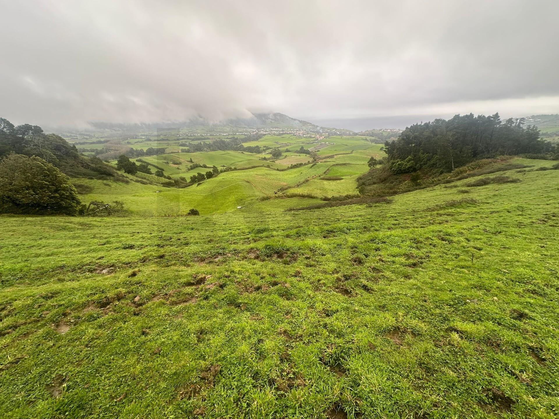 Enterprise Enterprise