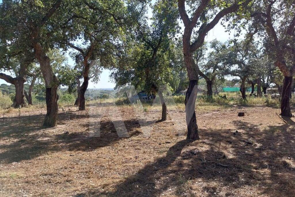 Enterprise Enterprise