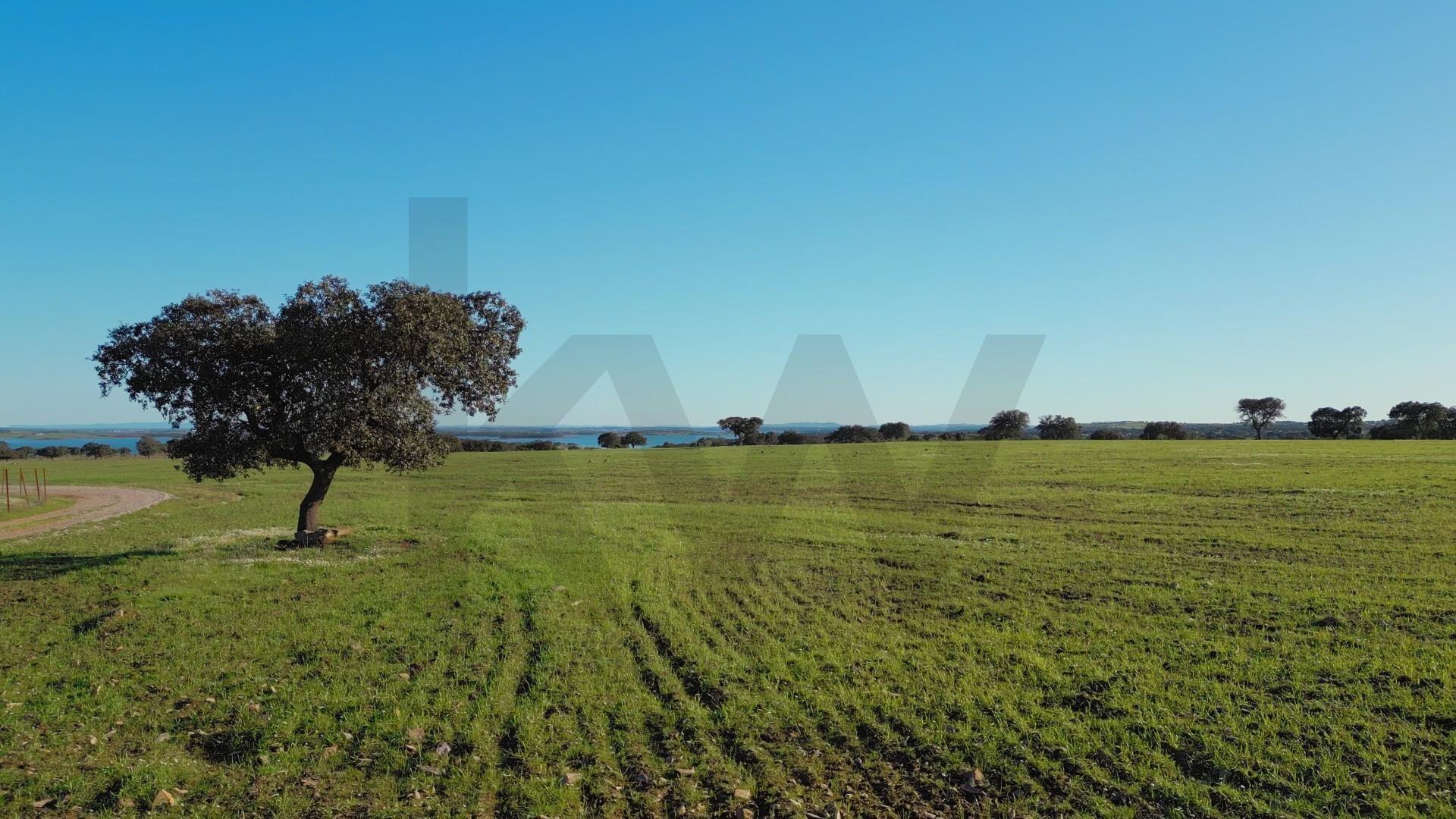 Enterprise Enterprise