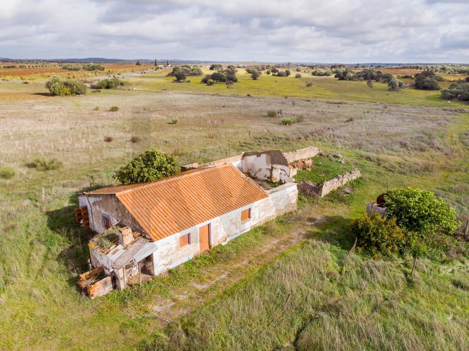 Enterprise Enterprise