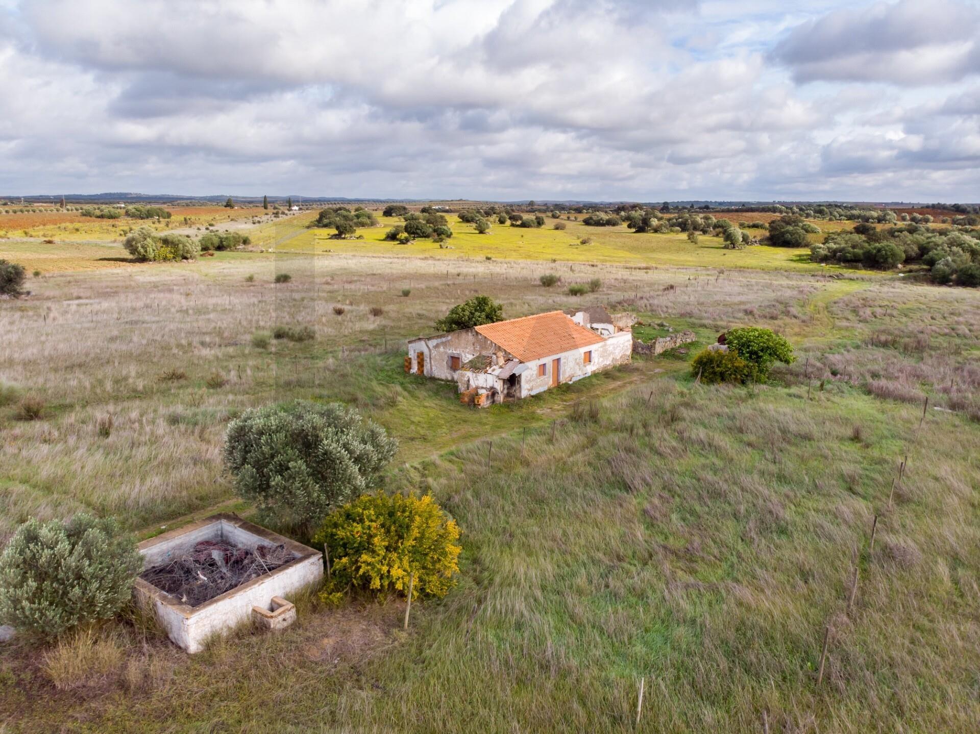 Enterprise Enterprise