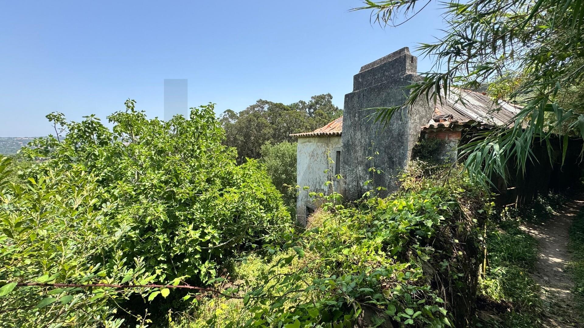 Enterprise Enterprise