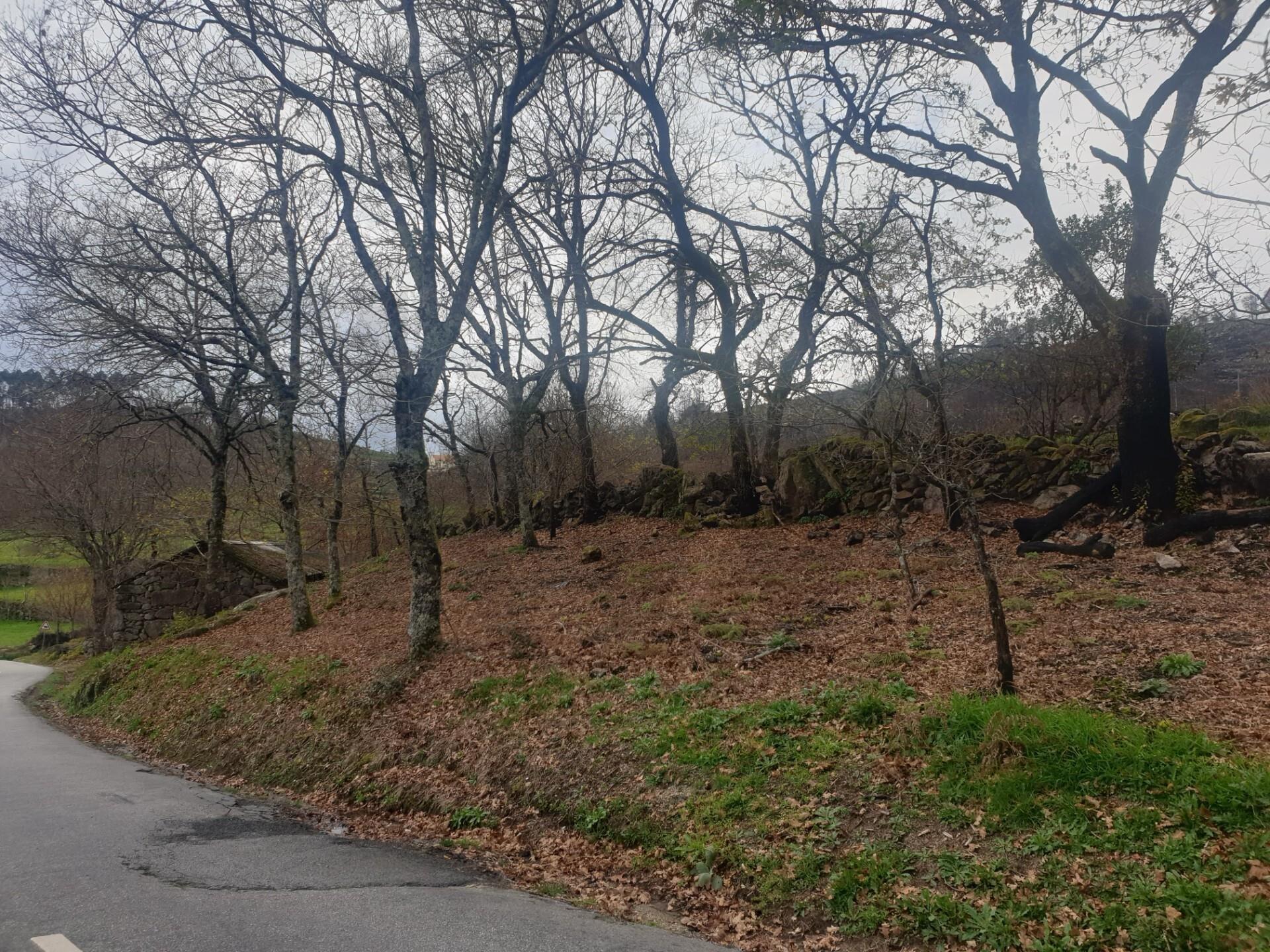 Enterprise Enterprise