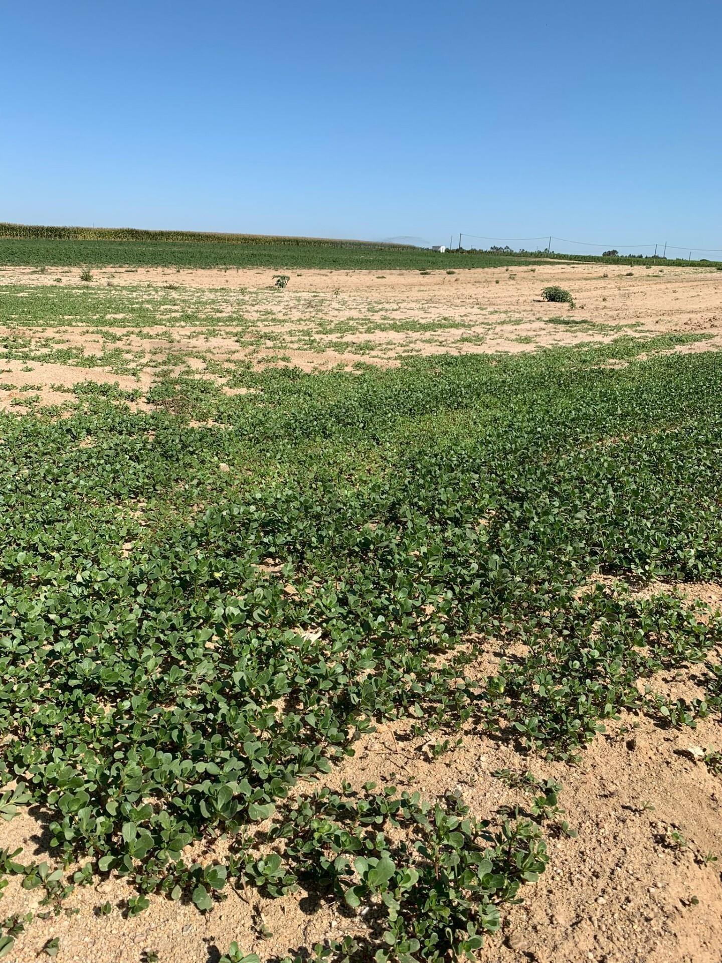 Enterprise Enterprise