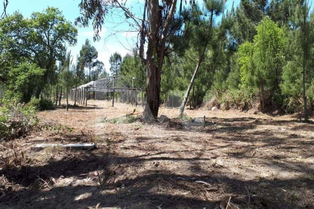 Enterprise Enterprise