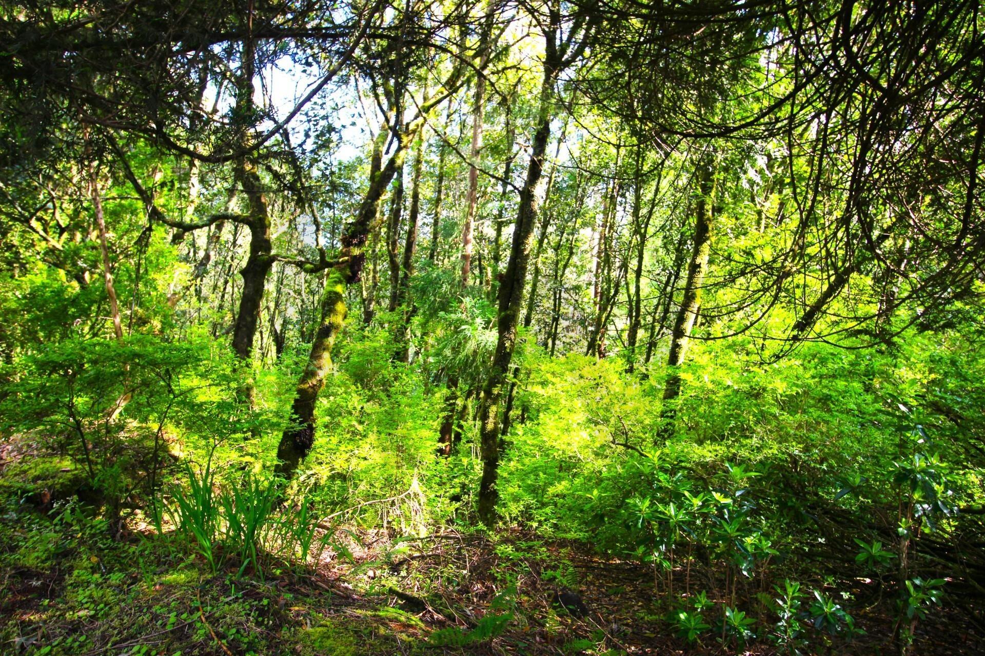 Enterprise Enterprise