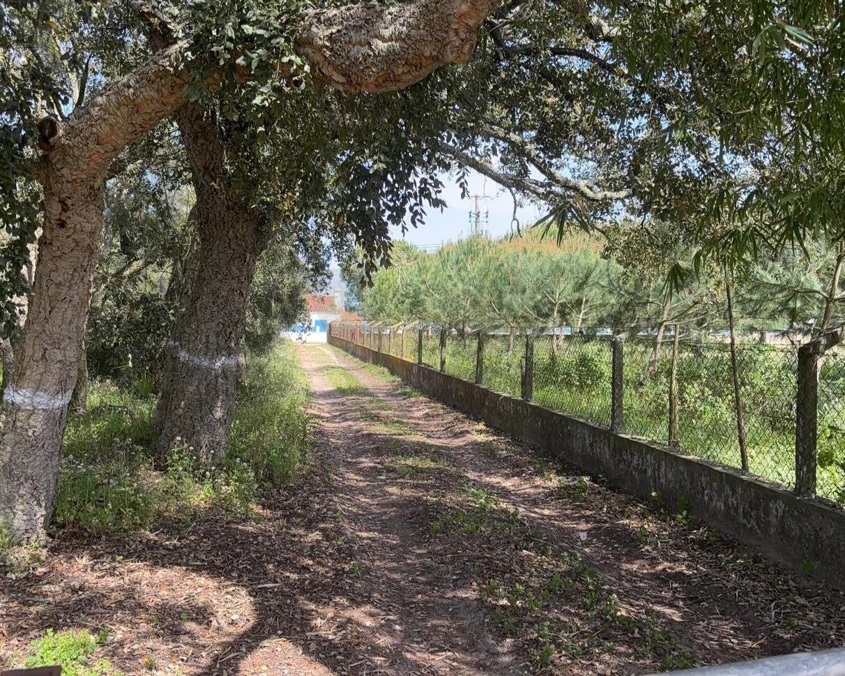 Enterprise Enterprise