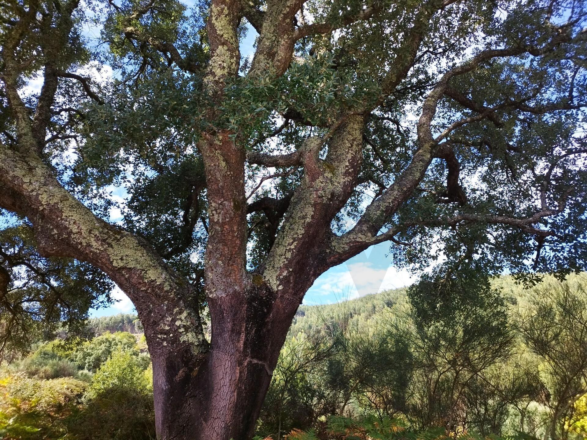 Enterprise Enterprise