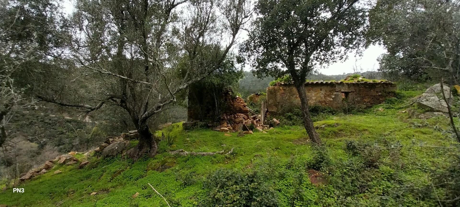 Enterprise Enterprise