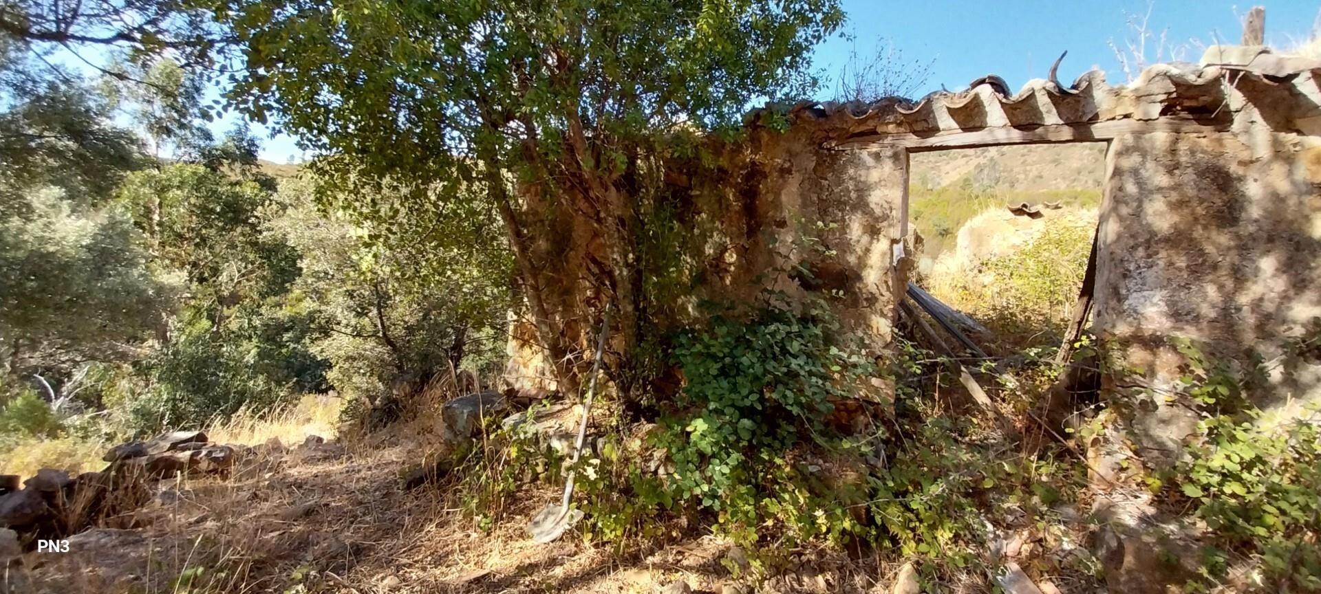 Enterprise Enterprise