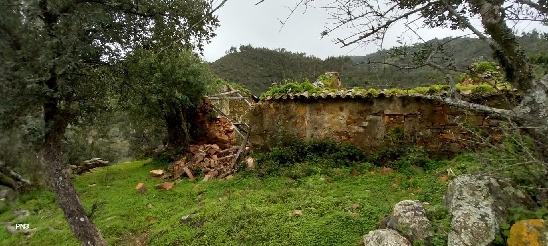 Enterprise Enterprise