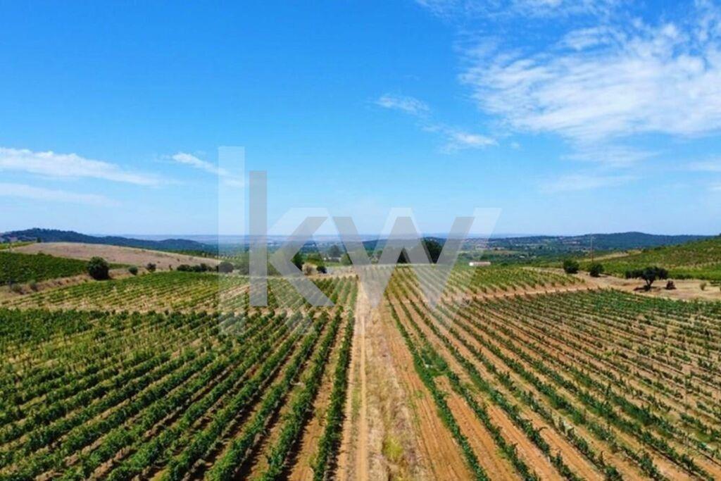 Enterprise Enterprise