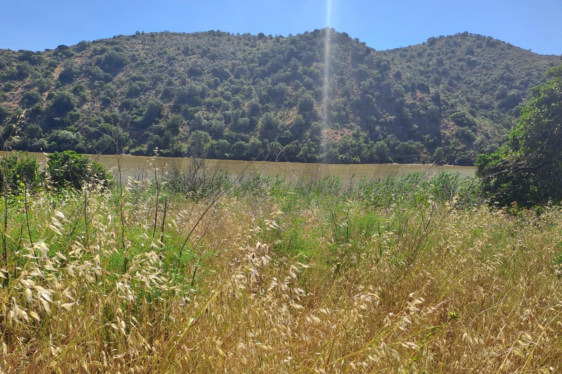 Enterprise Enterprise