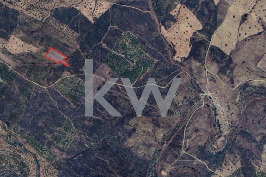 Enterprise Enterprise