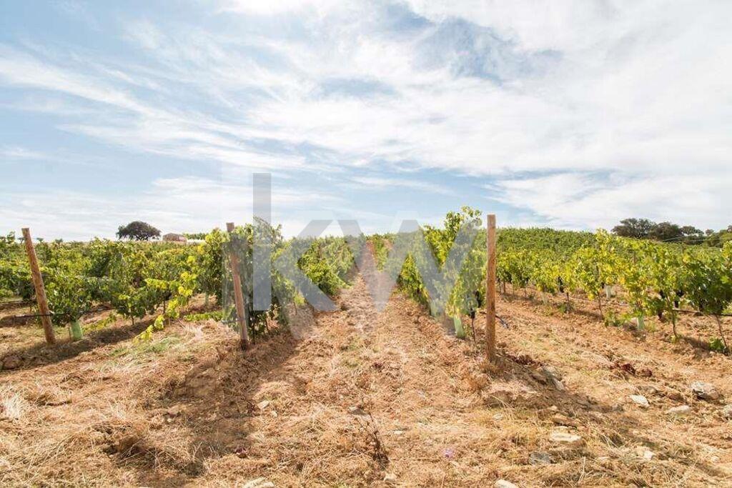 Enterprise Enterprise