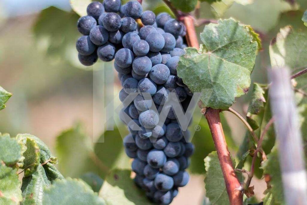 Enterprise Enterprise