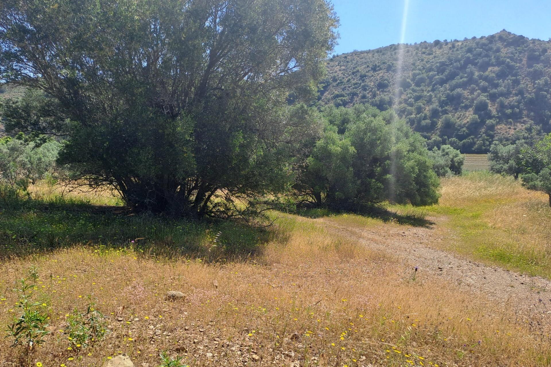 Enterprise Enterprise