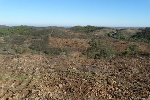 Enterprise Enterprise