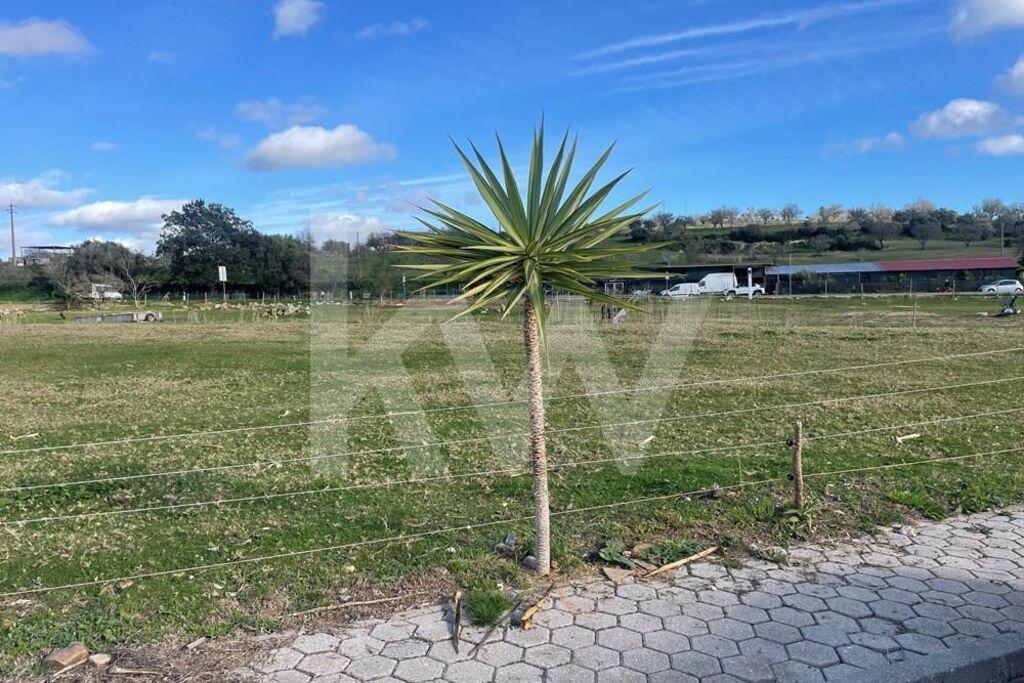 Enterprise Enterprise