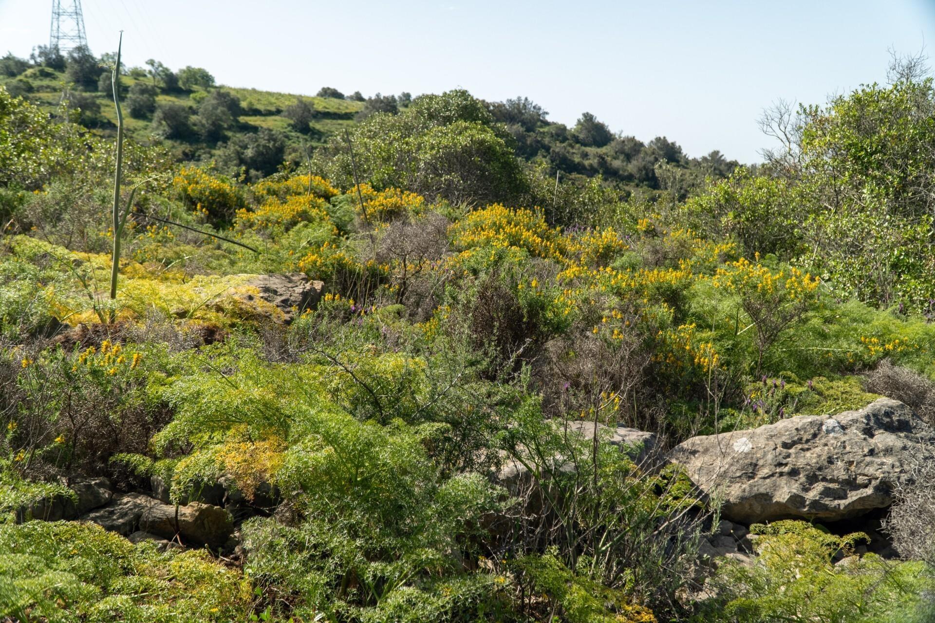 Enterprise Enterprise