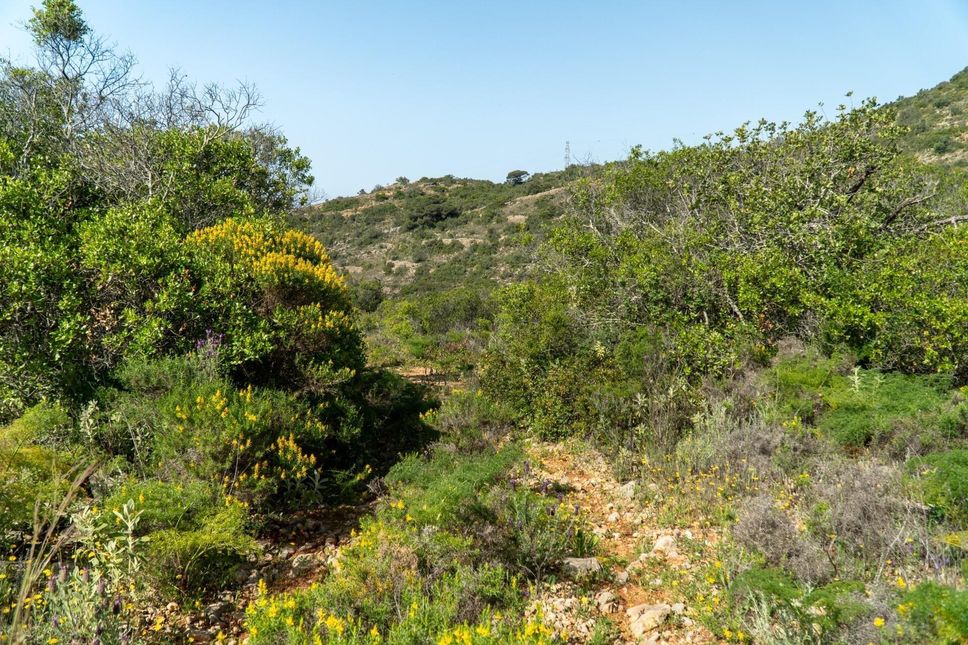 Enterprise Enterprise