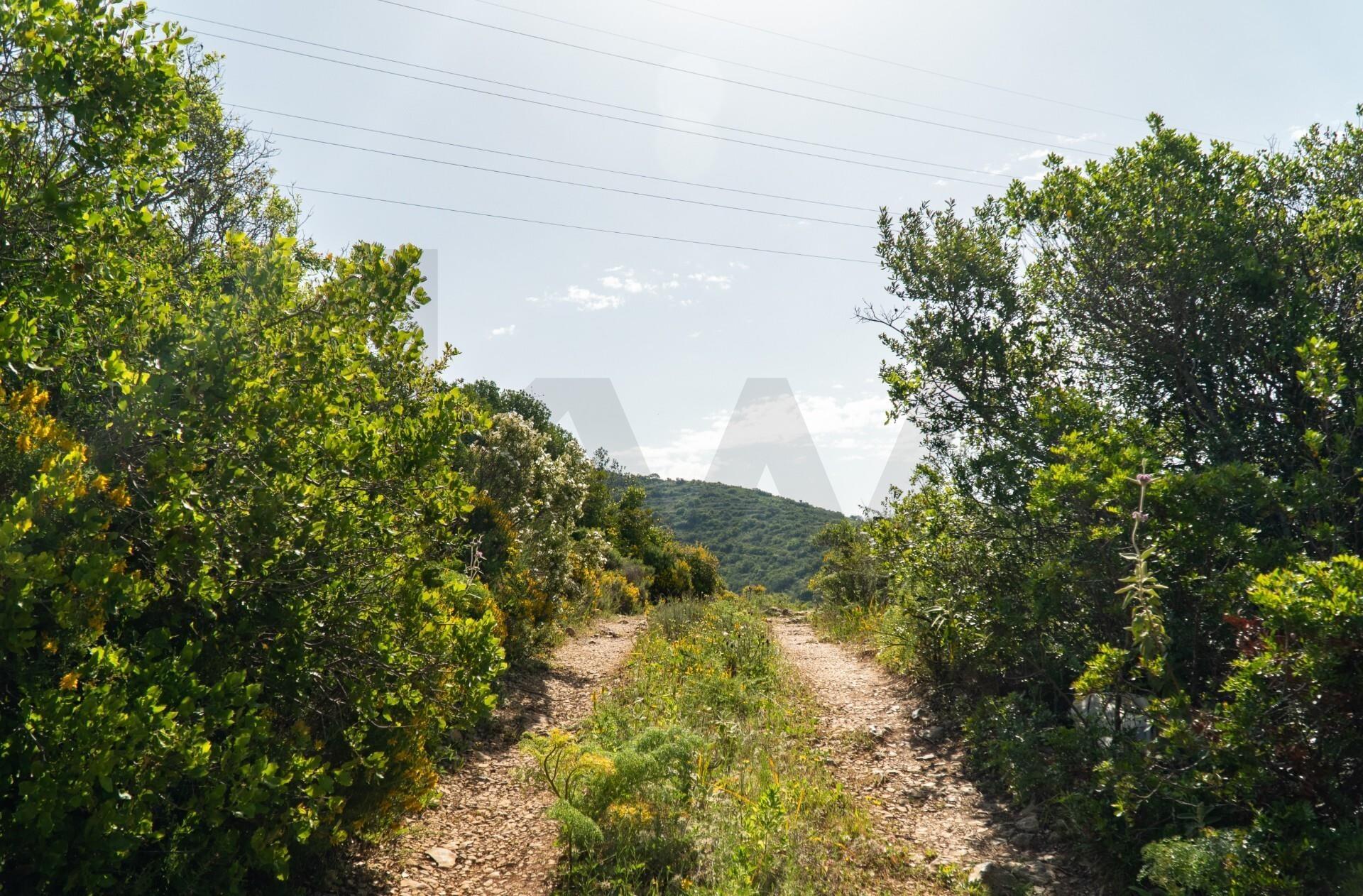 Enterprise Enterprise