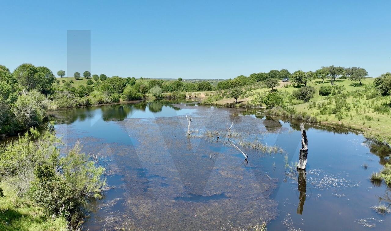 Enterprise Enterprise