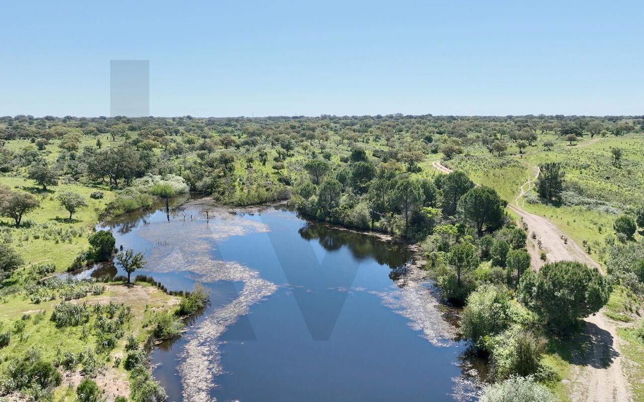 Enterprise Enterprise