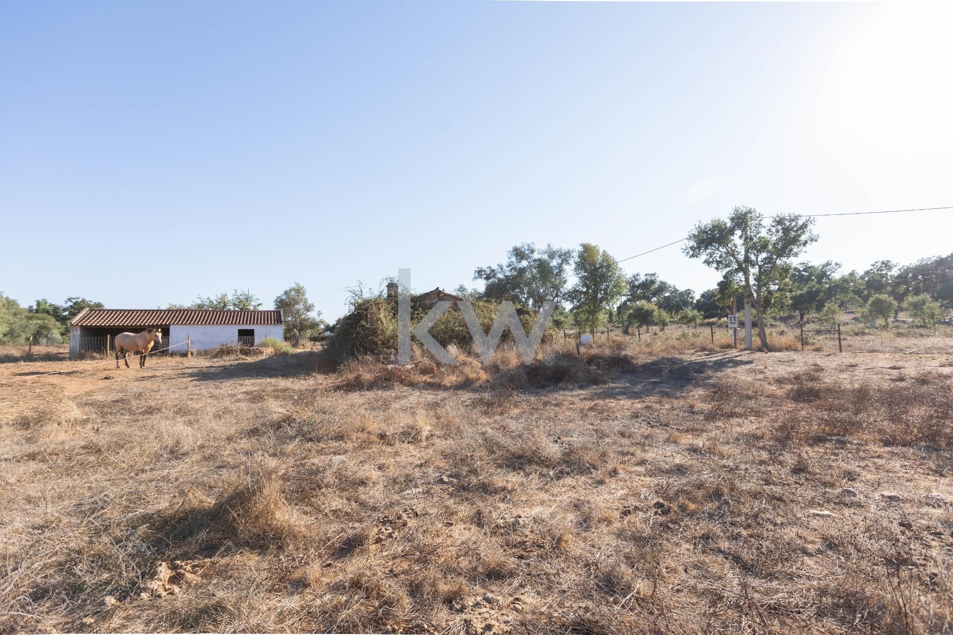 Enterprise Enterprise