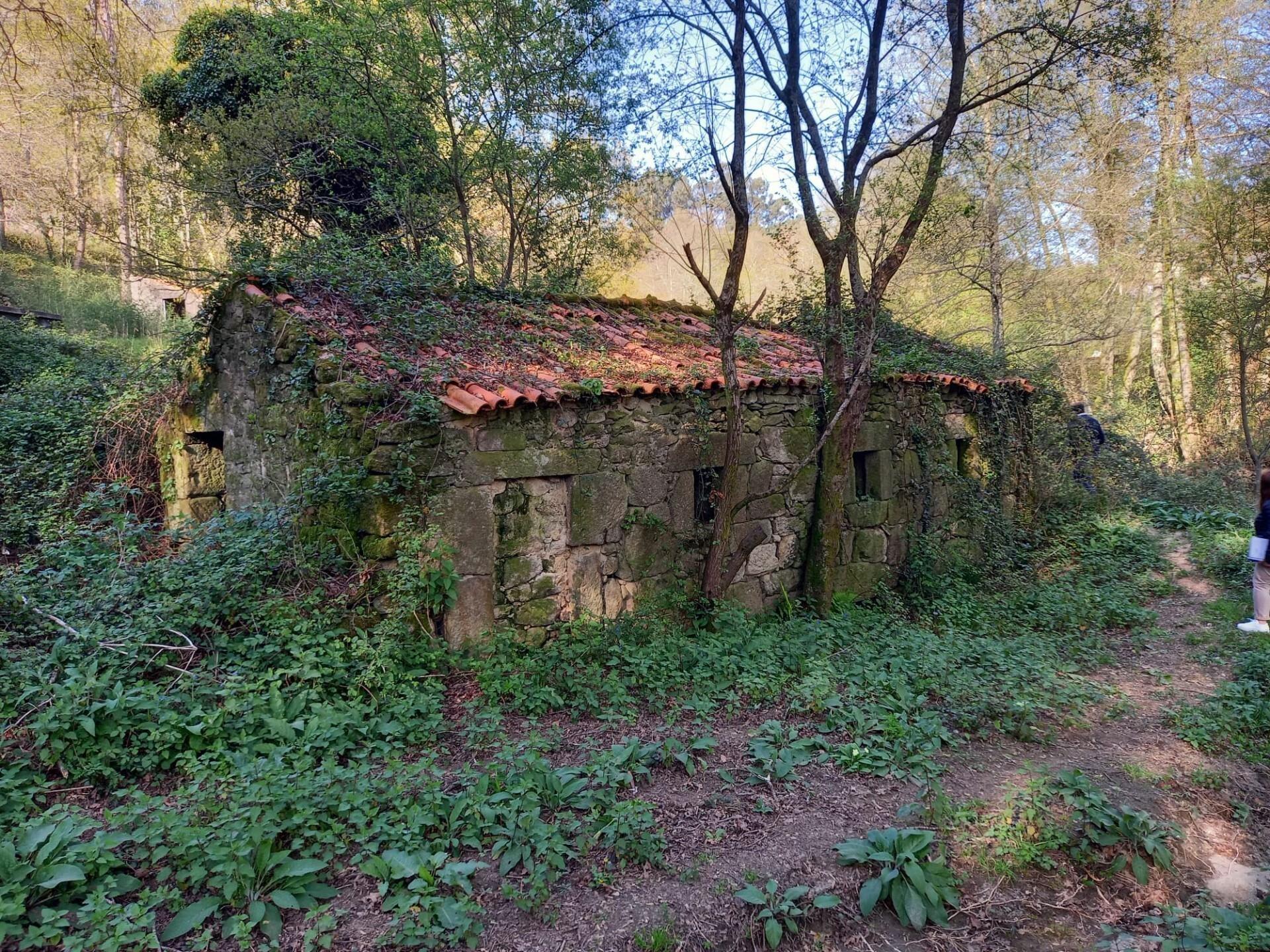 Enterprise Enterprise