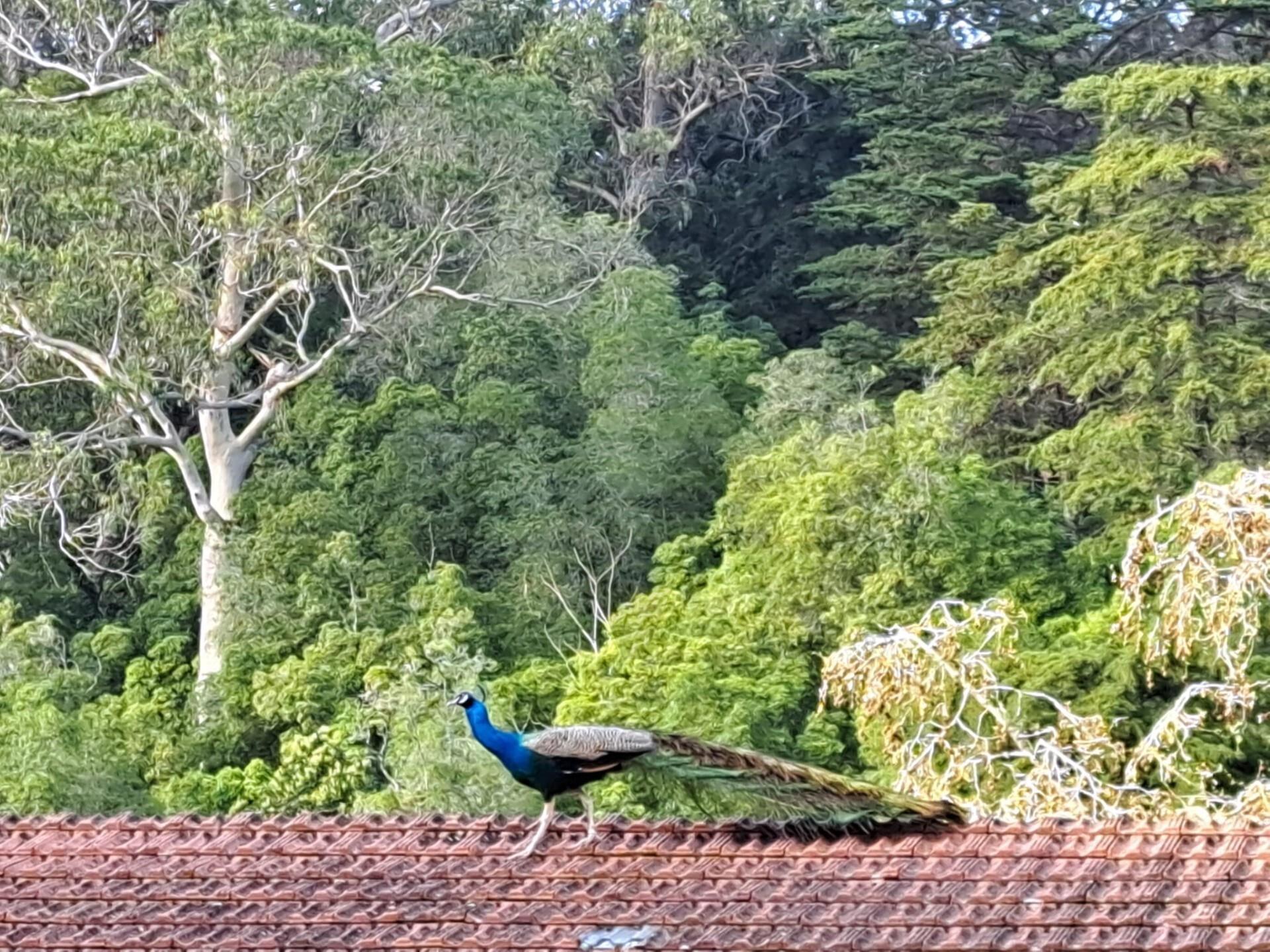 Enterprise Enterprise