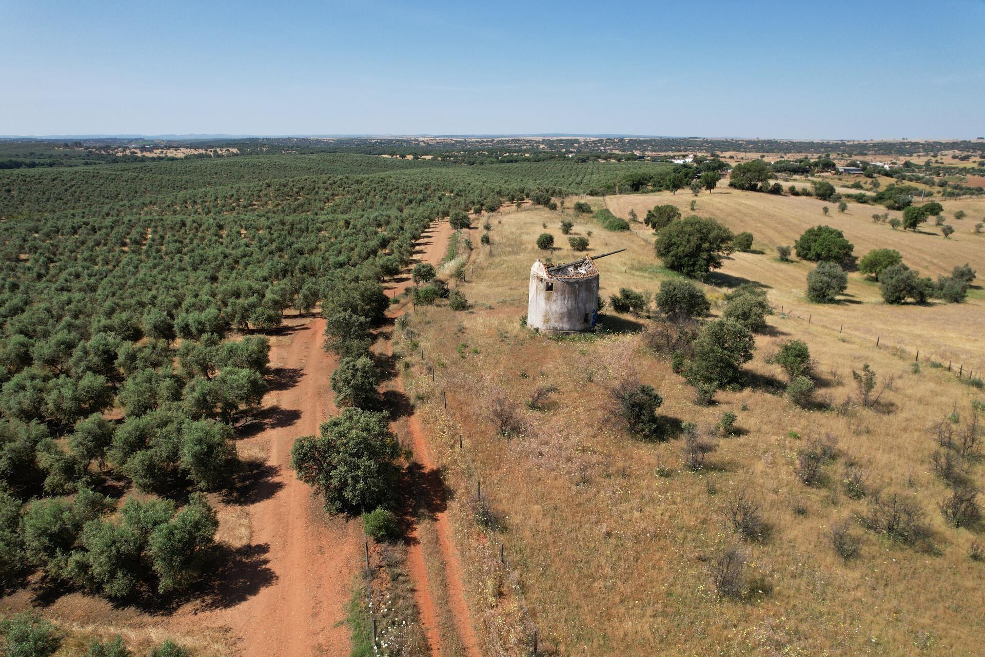 Enterprise Enterprise