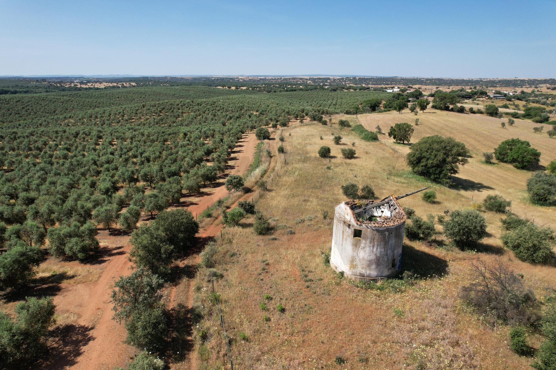 Enterprise Enterprise