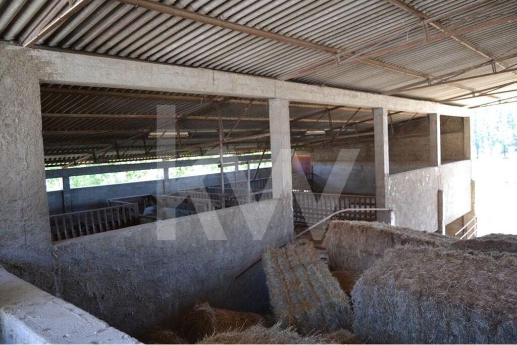 Enterprise Enterprise