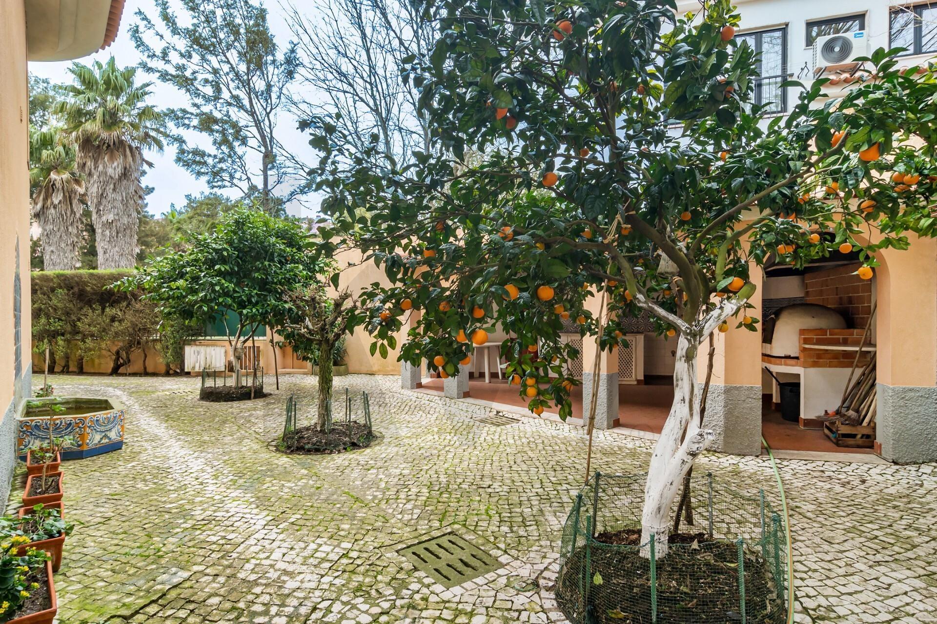 Enterprise Enterprise