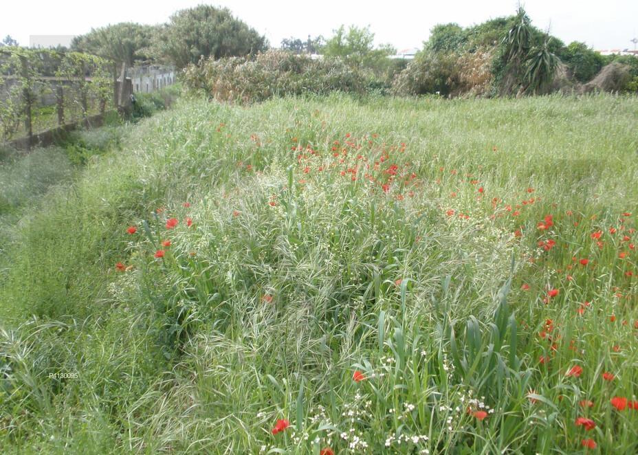 Enterprise Enterprise