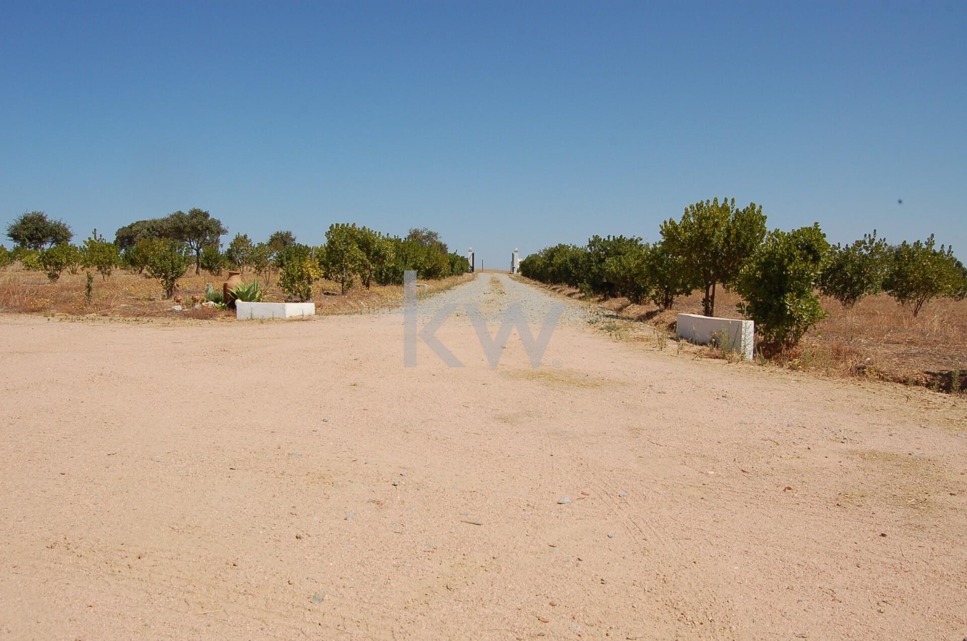 Enterprise Enterprise