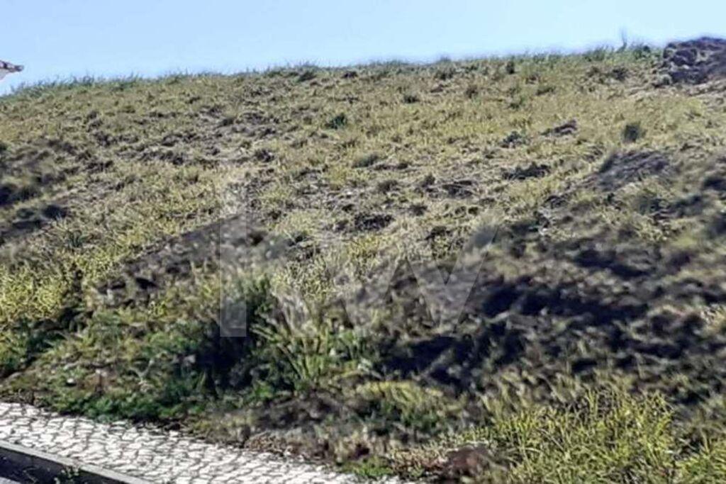 Enterprise Enterprise