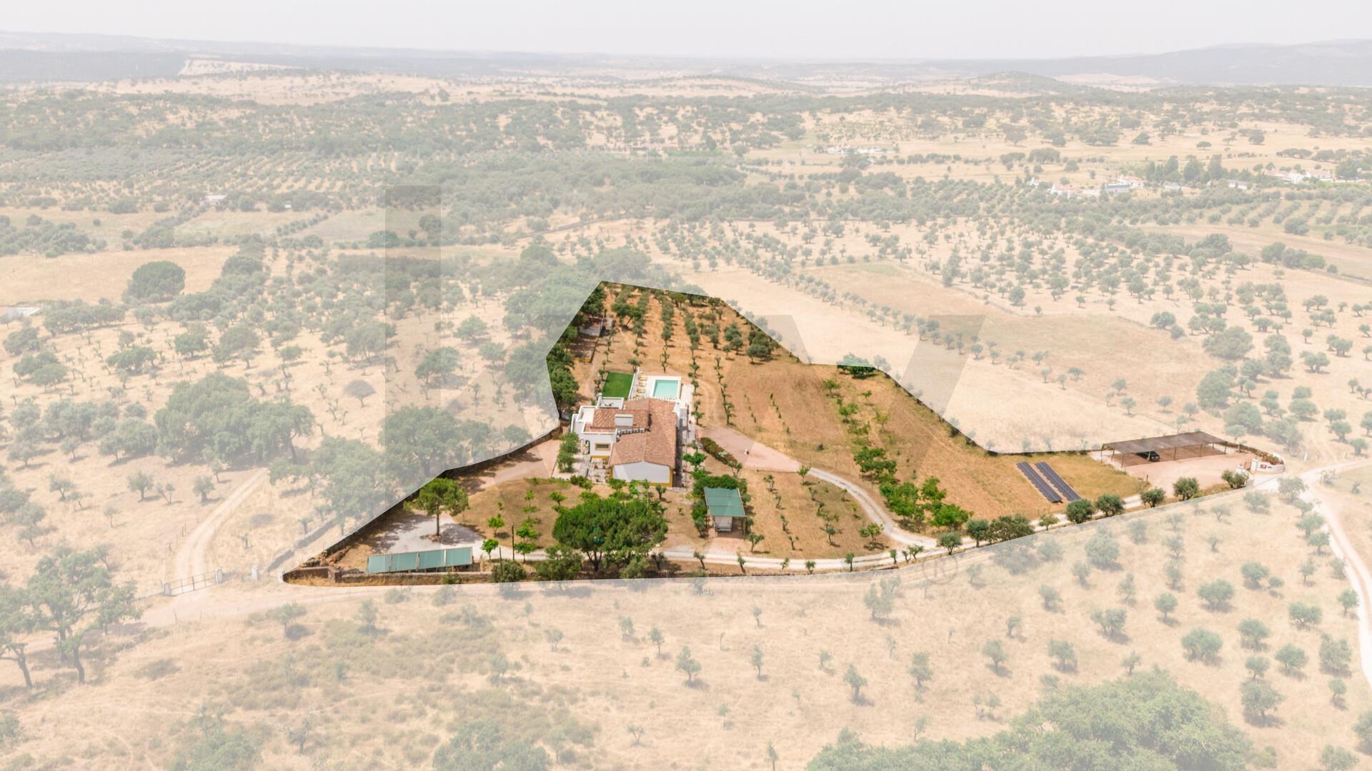 Enterprise Enterprise