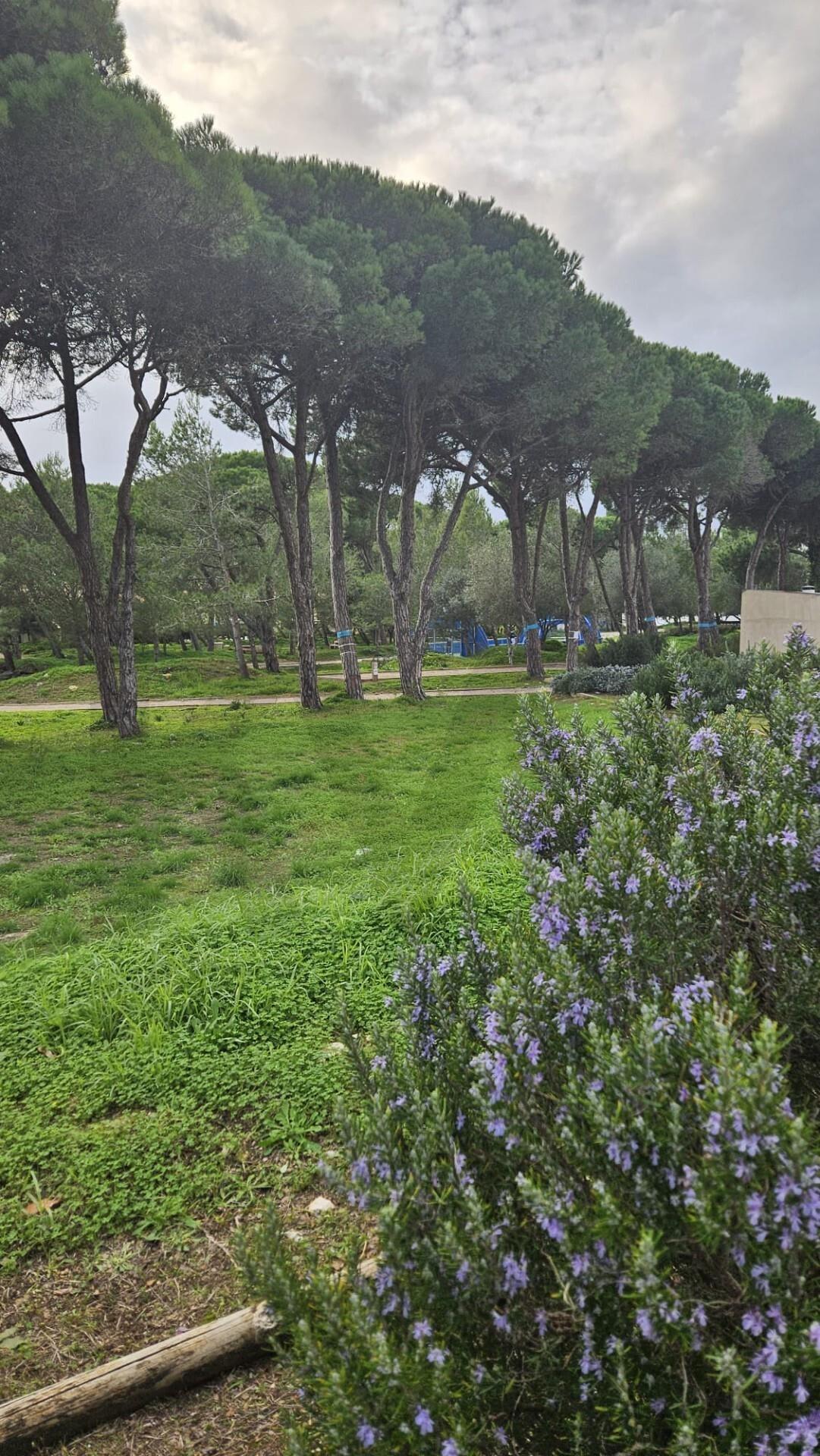 Enterprise Enterprise