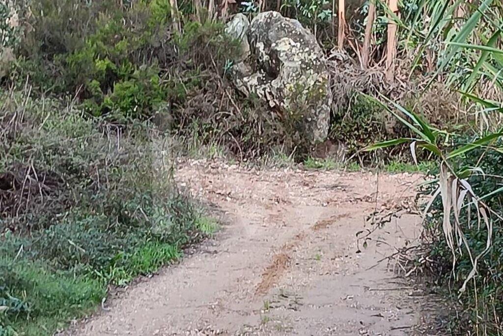 Enterprise Enterprise