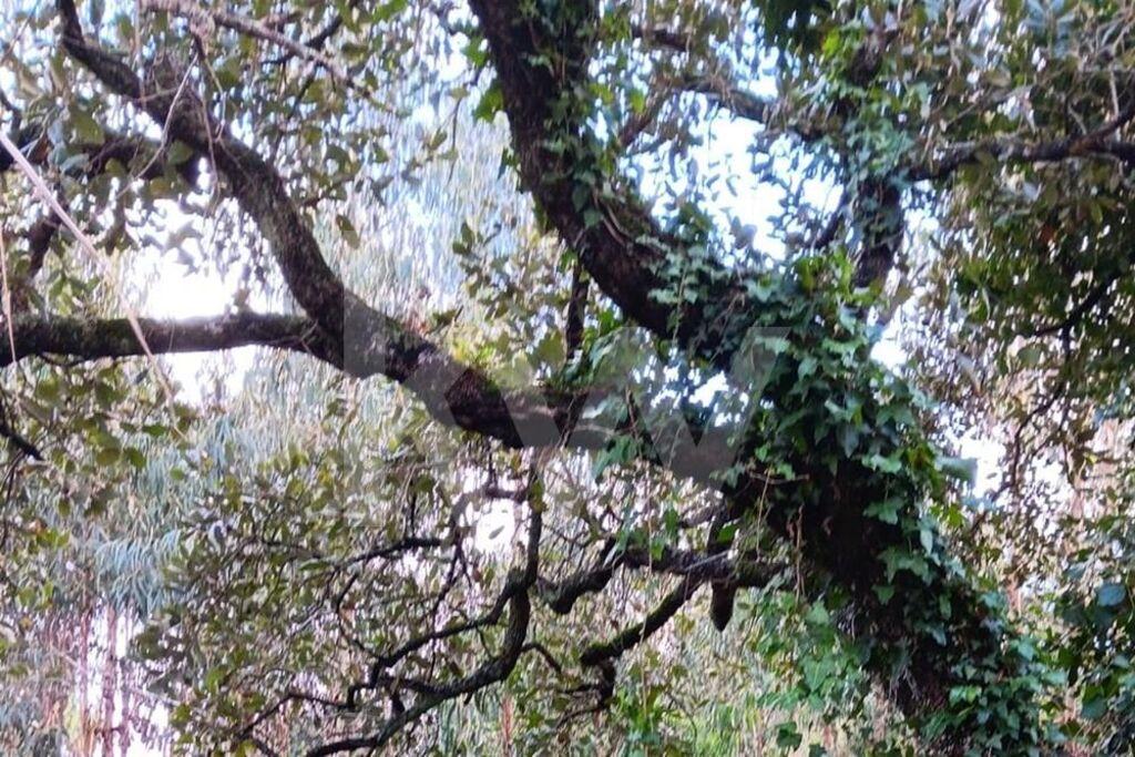 Enterprise Enterprise