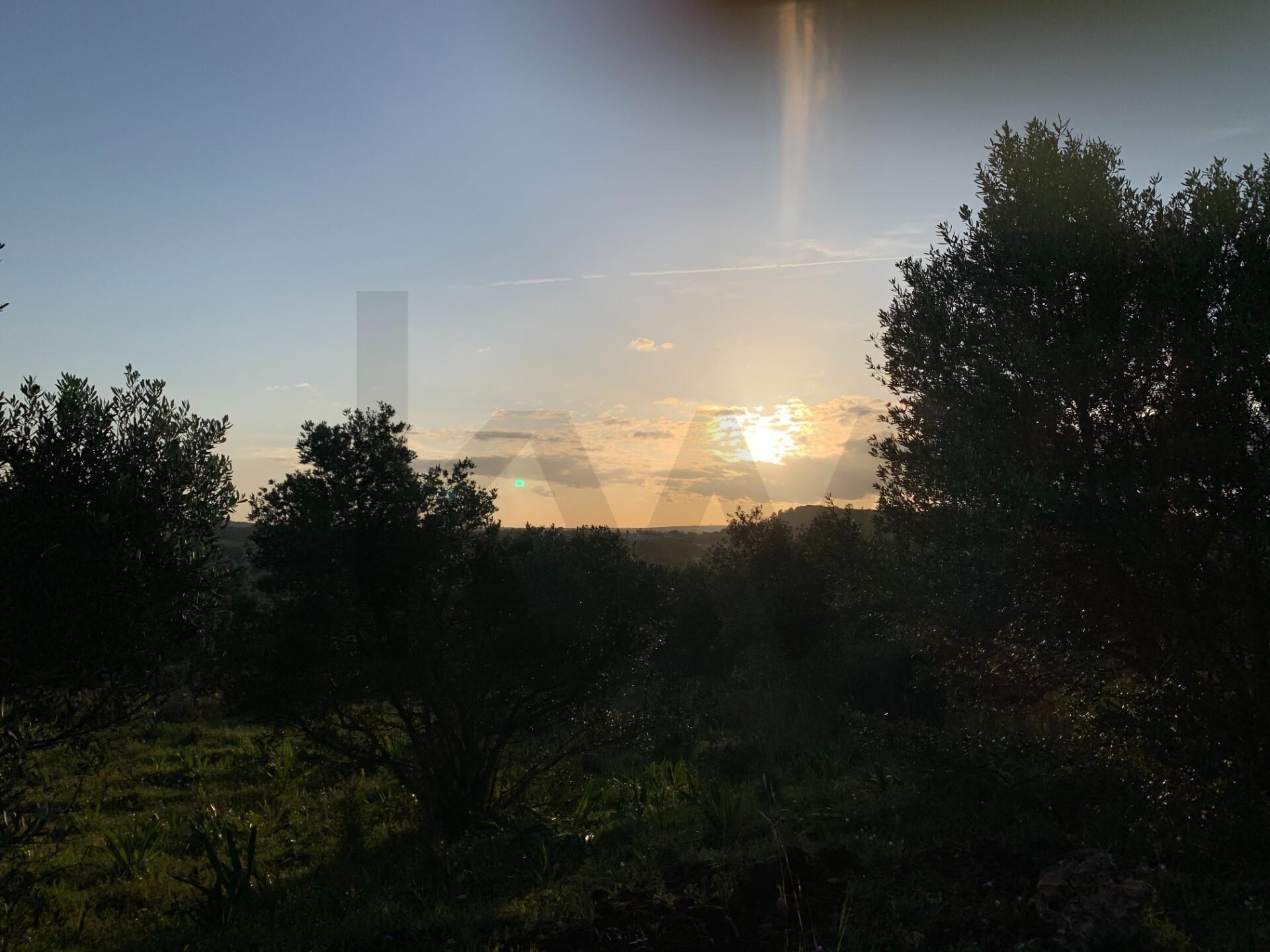 Enterprise Enterprise