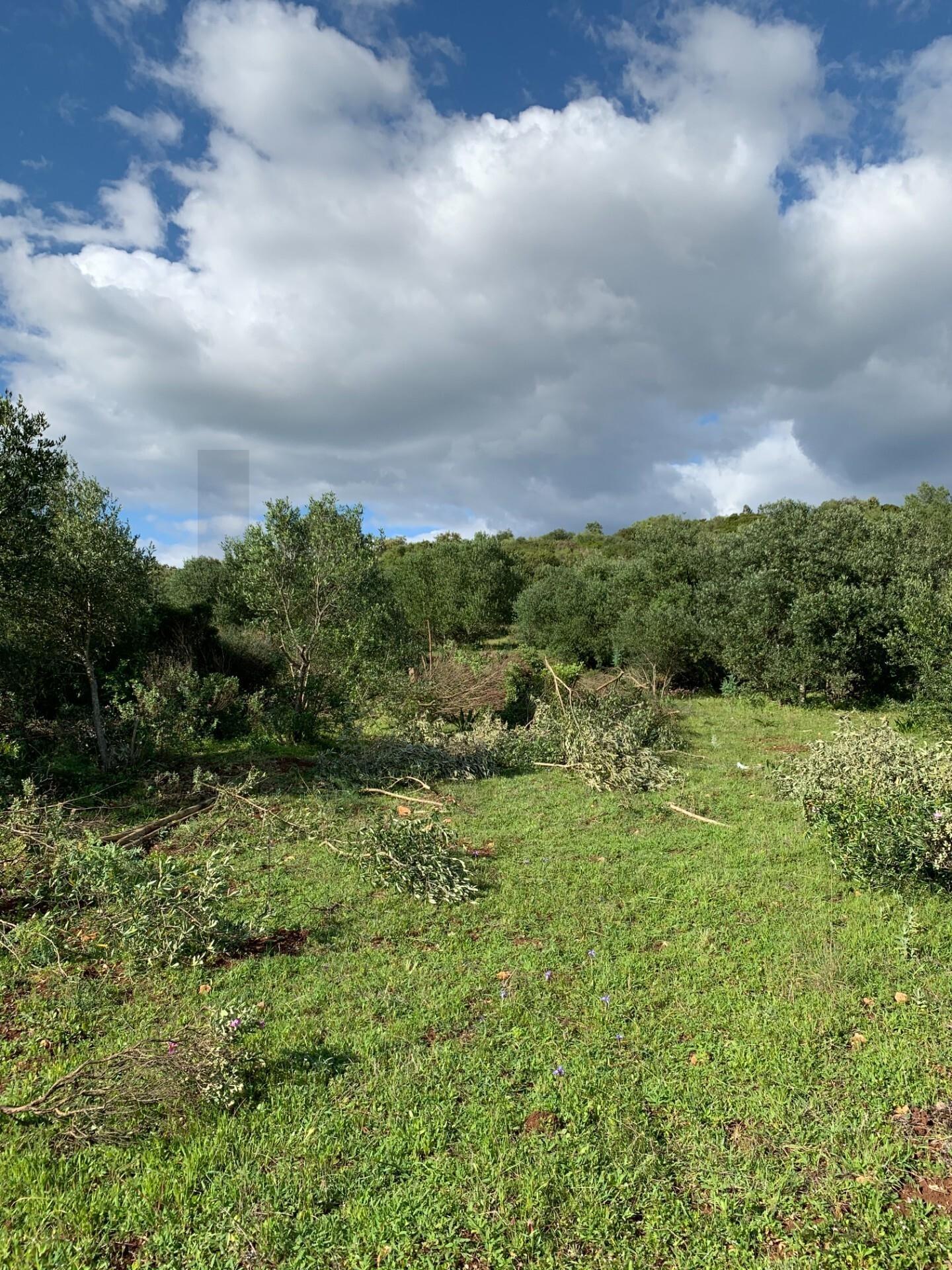 Enterprise Enterprise