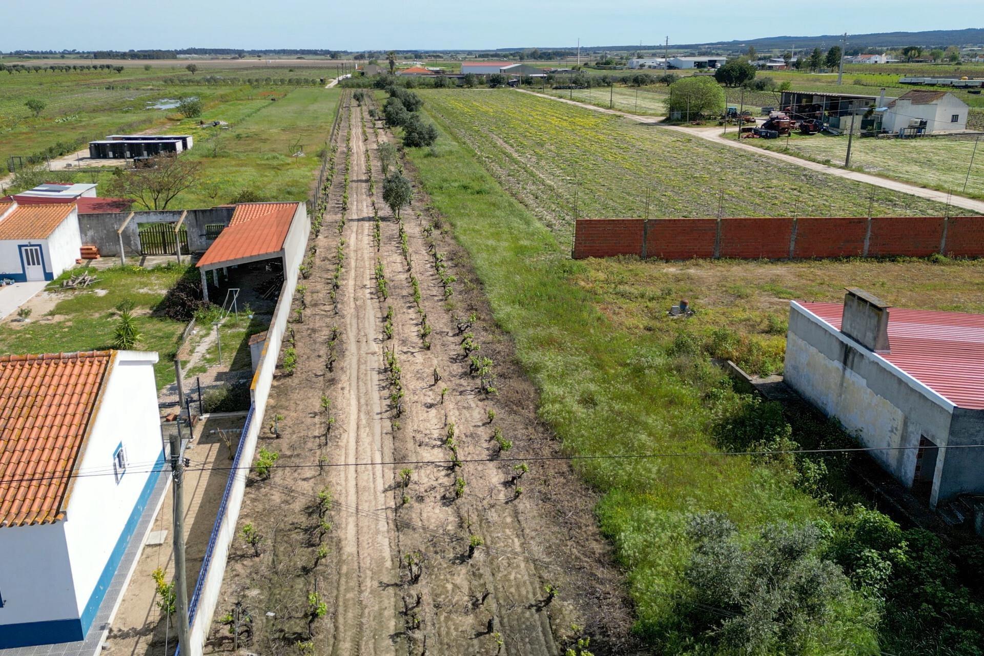 Enterprise Enterprise