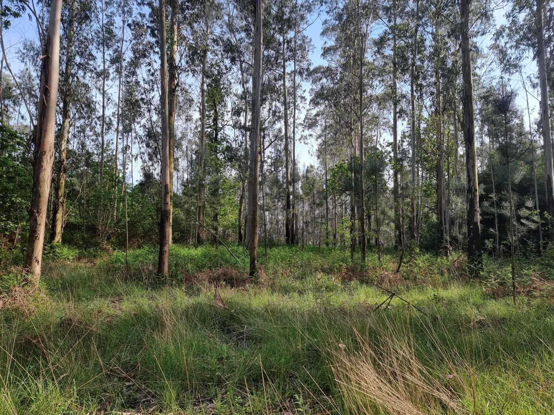 Enterprise Enterprise